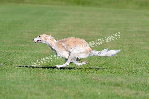 AE4I6901