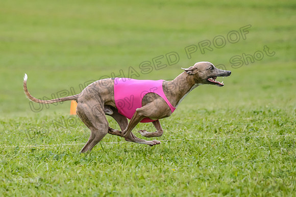 Prelim Open E2, Riddle Finely Scarlet-4837