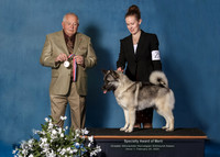 Elkhound 2020-1091-Edit