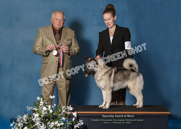 Elkhound 2020-1091-Edit