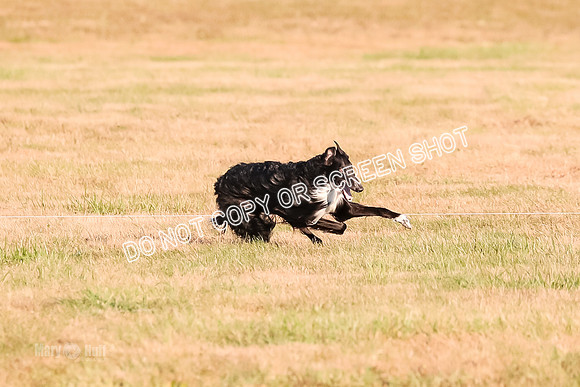 AE4I5105 TEST DOG