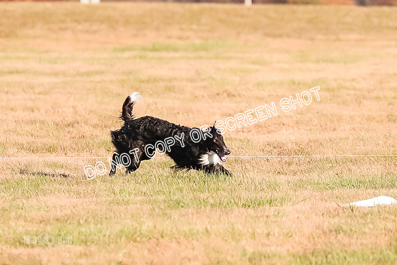 AE4I5107 TEST DOG