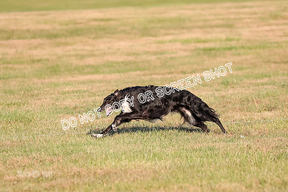AE4I5112 TEST DOG