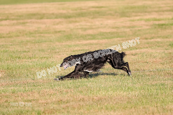 AE4I5113 TEST DOG