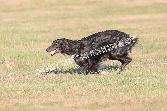 AE4I5114 TEST DOG