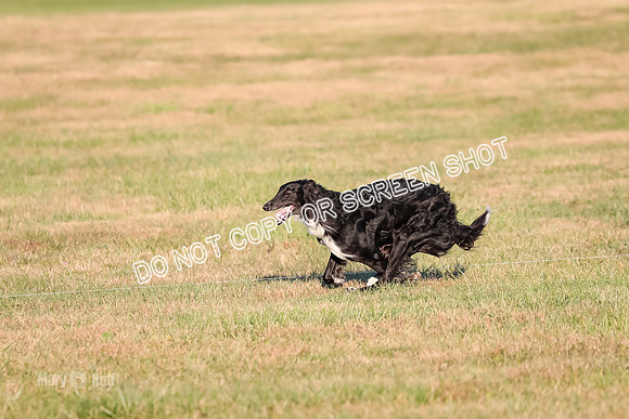 AE4I5115 TEST DOG