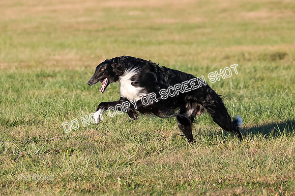 AE4I5118 TEST DOG