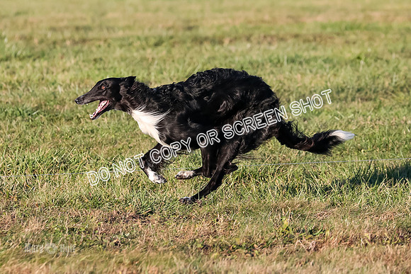 AE4I5120 TEST DOG