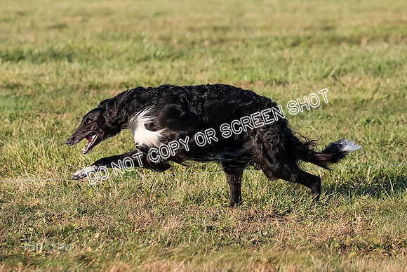AE4I5121 TEST DOG