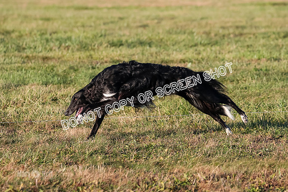 AE4I5122 TEST DOG