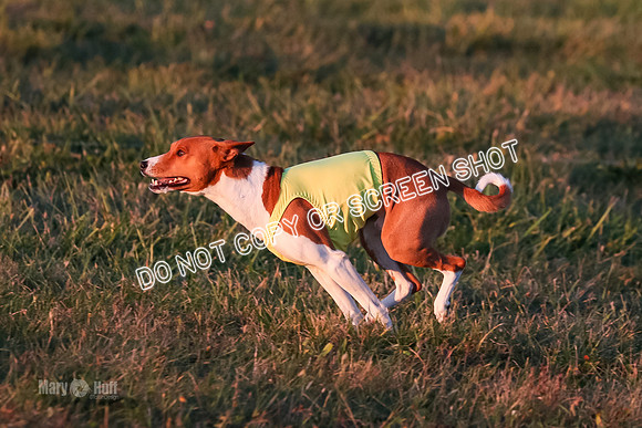 AE4I5302