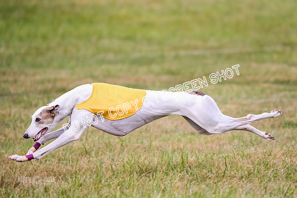 AE4I3499