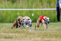 Prg 2, Race 4, Marty, Bogie, Denim, Meatloaf, Blaze, Raz-2-2