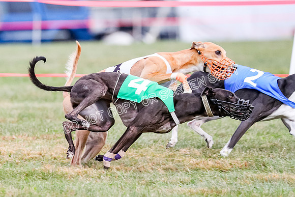 Prg 1, Race 16, Carl Maybe Bookie Sealli-0977
