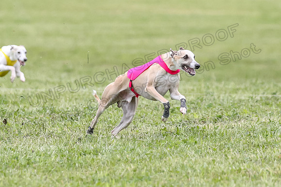 Finals Open C5, Mizuno Charlie Arlo-0793