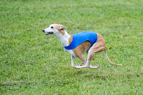 Prelim Open E2, Riddle Finely Scarlet-4876