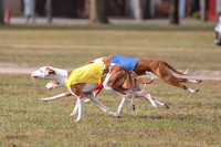 1 Prelims Fch 2 Jadis Beastie Ginny-0764