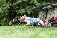 prg 1 race 1 angel nathalia seeker sid zen-3495