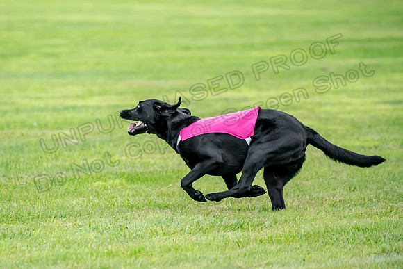 Prelims Rowan-0862