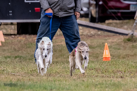 Finals Open Ripley Spiff-2636