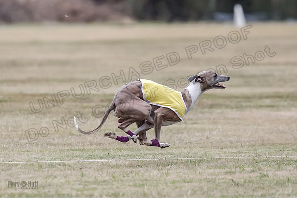 Finals Open 4 Rigel Trixie-4120