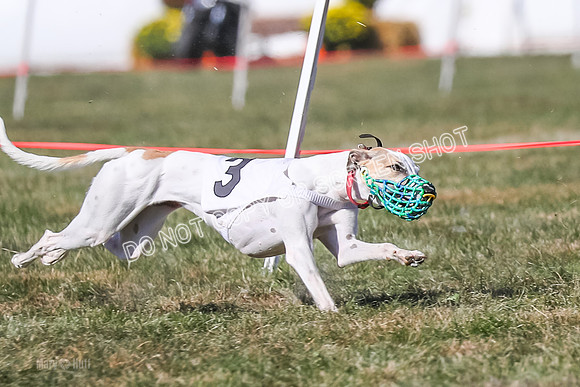 Prg 4, Race 12, Snacks Coty Ryka Stone-2738