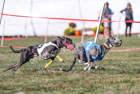 Prg 4, Race 14, Blast Voodoo Ocho Elevenes-2795