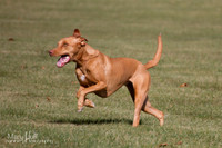 IMG_0644