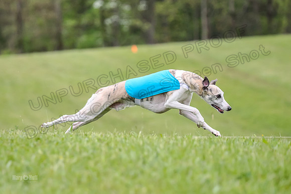 Prelim Open E1, Sid Emoji Bumble-4723