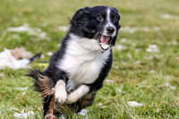 MCH73652