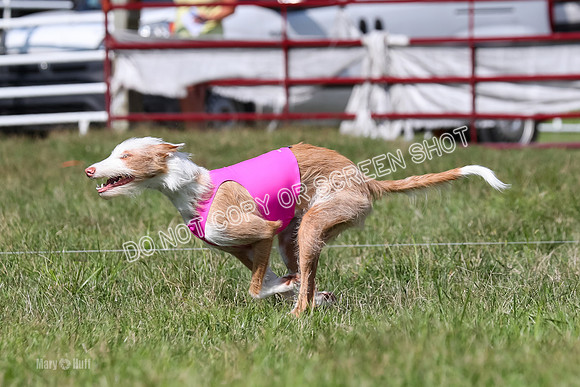 Open Prelim A2, Madyson, Razz-7615