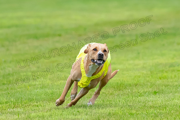 Prelims Zara-0825