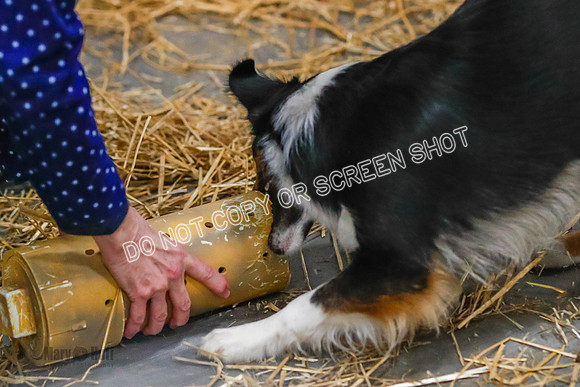 _E4I5317
