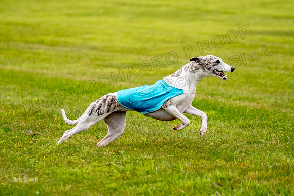 Prelims Misty-0660