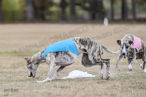 Finals Open 1 Steel Maverick Eggsy-3873