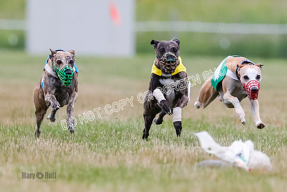 Prg 3, Race 5, Sid-Alex-Zed-Fama-Talim-1175