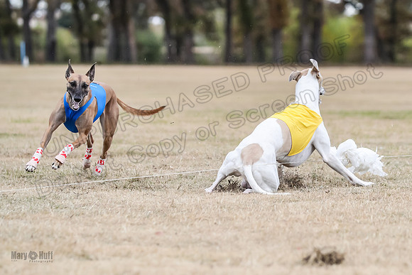 Finals Open 2 Cheese PeteySue Treble-3977