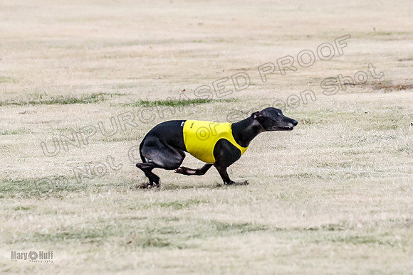 1Prelim Open 2 Shine Maverick Steel-2972