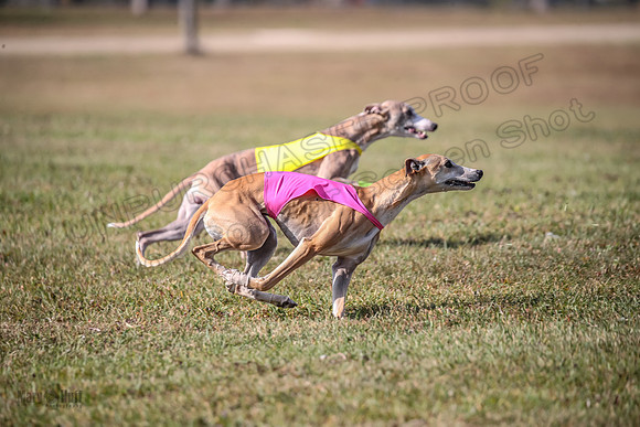 Finals Open 2 Fennec Keegan AnnieOakley-3897
