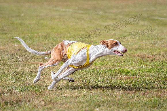 Finals Open 1 Jagger Maverick-3012