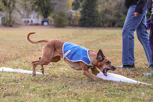 1 Prelims Fch 1 Ace Dakota Remmy-0278