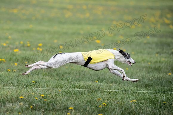 1 Prelim FCh B2 Echo Lzzy Indy-6757
