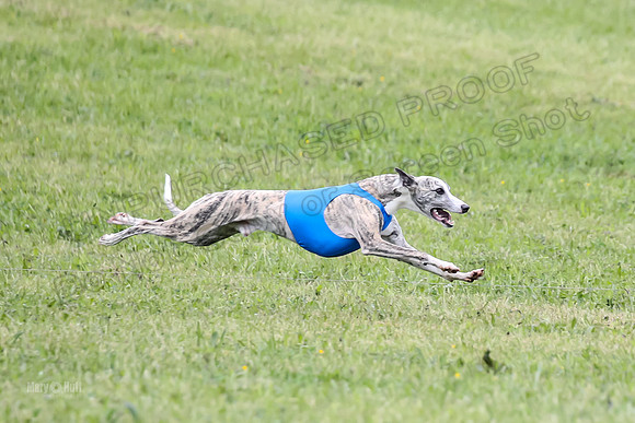 Prelim Open G1, Banshee Mystic Stoli-9436
