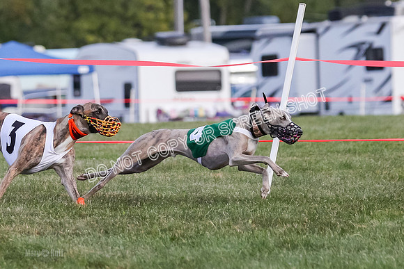 Prg 1, race 7, Cutter Dazzle Mika Rory-0717
