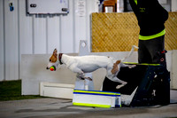 48, preflight, reese, bordering on insanity