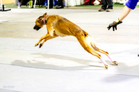 60, bordering on insanity- ruff position