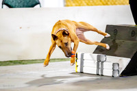 61, preflight, k9 wrecking ball