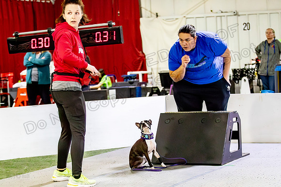AE4I7811-