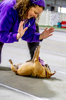 AE4I8923-