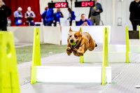 22, K9 Wrecking Ball Rowan
